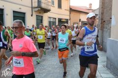 IMG_1584.jpg