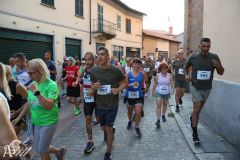 IMG_1631.jpg