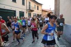 IMG_1633.jpg