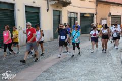 IMG_1695.jpg