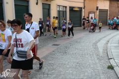 IMG_1699.jpg