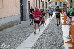 IMG_2644.jpg