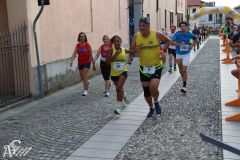IMG_2784.jpg