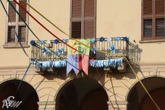 IMG_1107.jpg