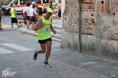 IMG_1341.jpg