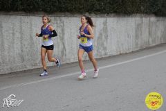 IMG_0047.jpg