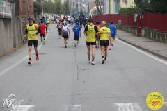 IMG_0240.jpg