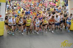 _DSC8156.jpg