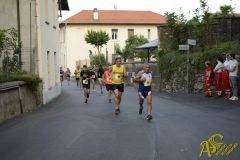 _DSC8384.jpg