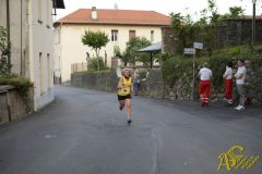 _DSC8510.jpg