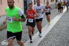 IMG_2935.jpg