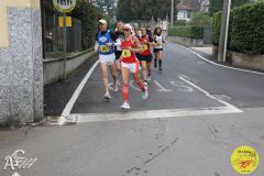 IMG_0461.jpg