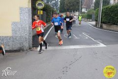 IMG_0528.jpg