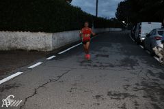 IMG_2239.jpg