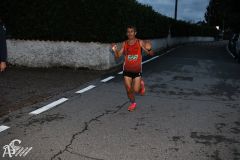 IMG_2241.jpg