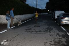 IMG_2260.jpg