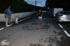 IMG_2285.jpg