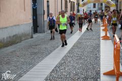 IMG_3172.jpg