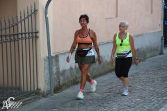 IMG_3254.jpg