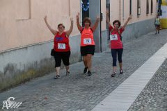 IMG_3261.jpg