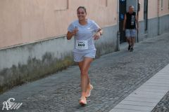 IMG_3267.jpg