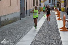 IMG_2392.jpg
