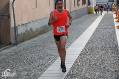 IMG_2501.jpg