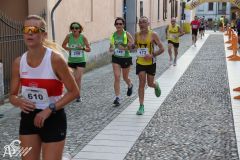 IMG_2523.jpg