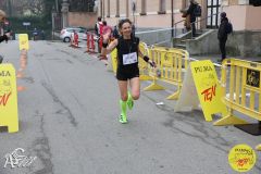 IMG_1359.jpg