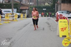 IMG_1498.jpg