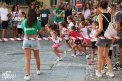 IMG_1130.jpg