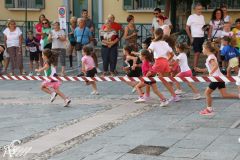IMG_1133.jpg