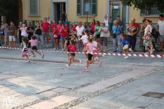 IMG_1135.jpg