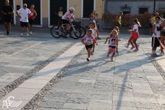 IMG_1138.jpg