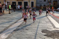 IMG_1140.jpg