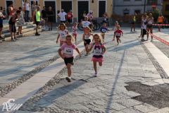 IMG_1141.jpg