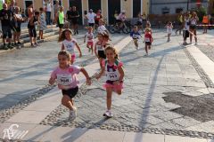 IMG_1142.jpg