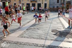 IMG_1144.jpg