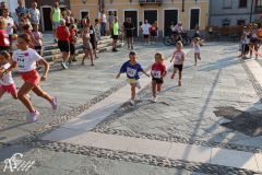 IMG_1145.jpg