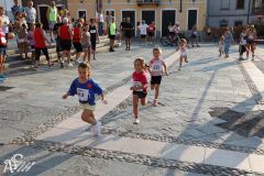 IMG_1146.jpg