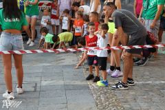 IMG_1155.jpg