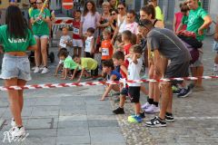 IMG_1156.jpg