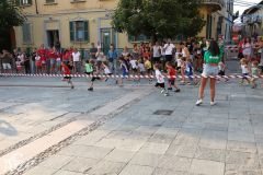 IMG_1164.jpg