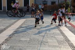 IMG_1169.jpg