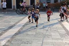 IMG_1170.jpg