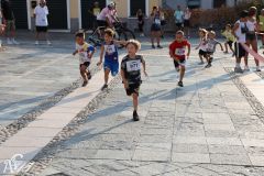 IMG_1171.jpg
