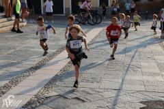 IMG_1172.jpg