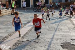 IMG_1173.jpg