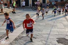 IMG_1174.jpg