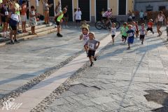 IMG_1176.jpg